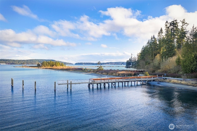 view of water feature featuring a dock