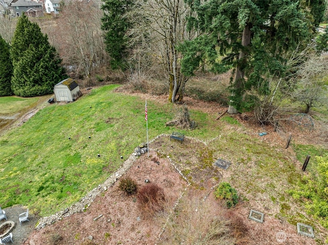 view of yard featuring a storage shed and an outdoor structure