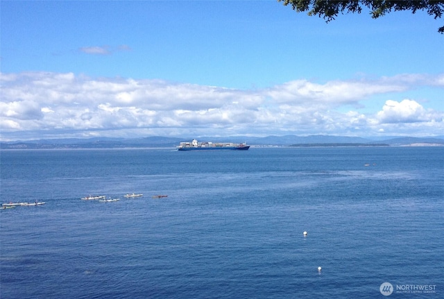 water view featuring a mountain view