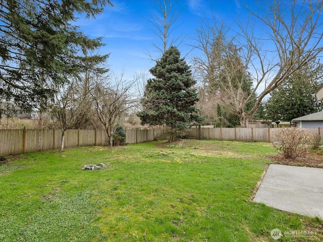 view of yard featuring a patio and a fenced backyard