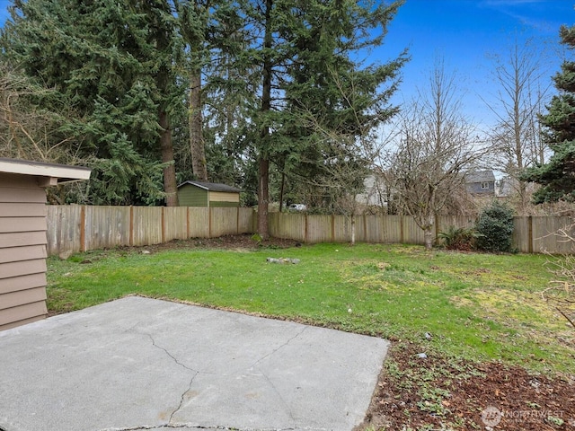 view of yard featuring a fenced backyard and a patio area