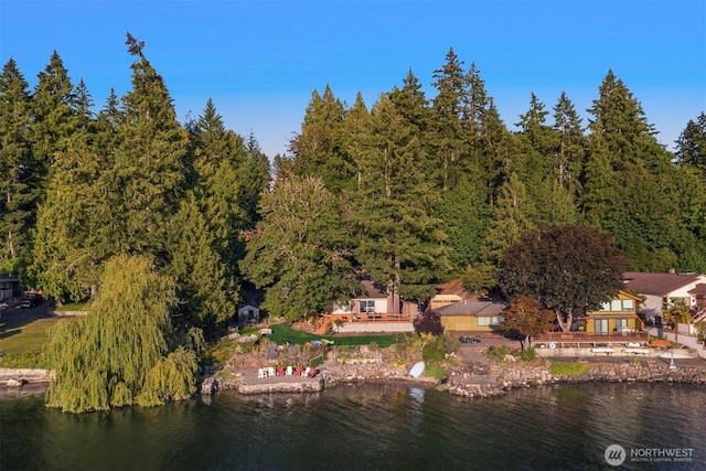 drone / aerial view featuring a forest view and a water view