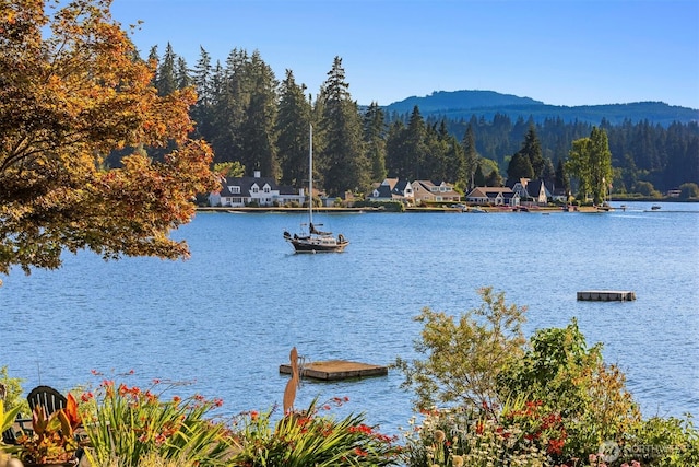 view of water feature with a view of trees