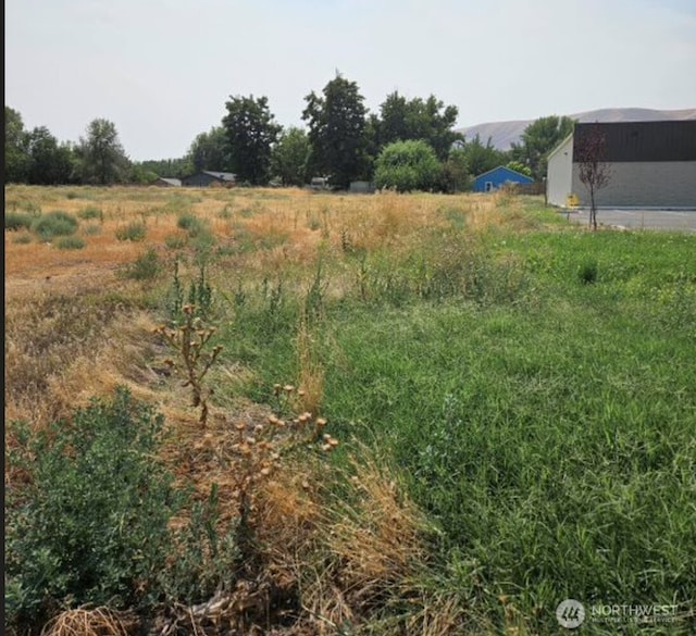 100 Babs Ave, Benton City, WA 99320