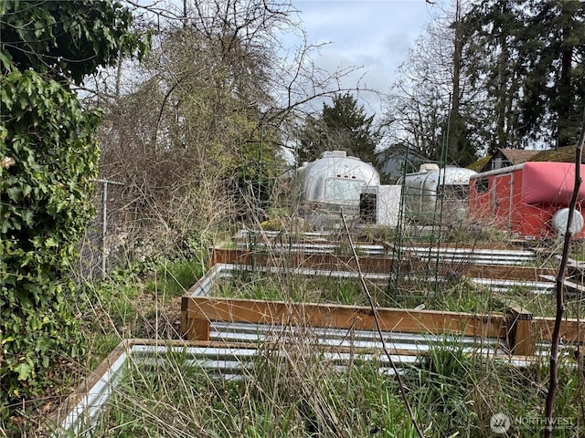 view of yard with a vegetable garden