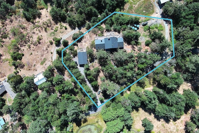 drone / aerial view