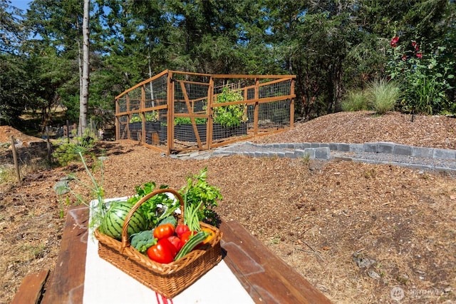 view of yard with a vegetable garden