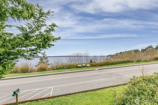 249 Cascade Ave, Langley, WA 98260 - view of street featuring a water view