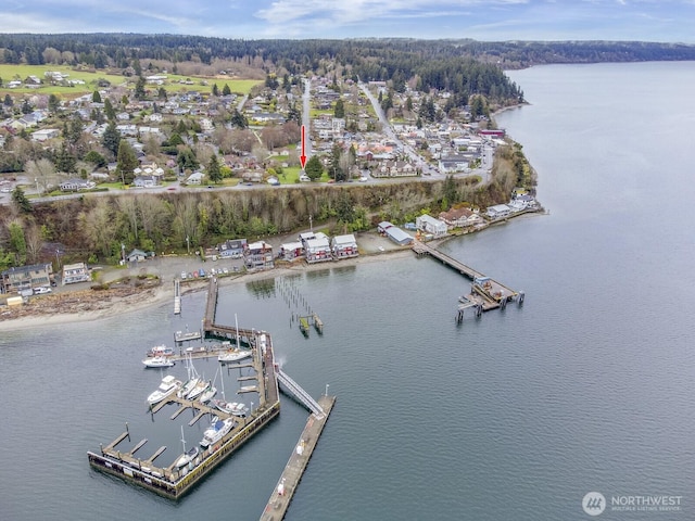 249 Cascade Ave, Langley, WA 98260 - aerial view featuring a water view