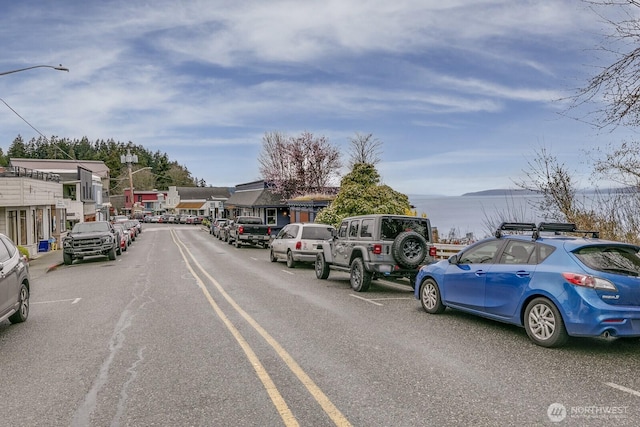 249 Cascade Ave, Langley, WA 98260 - view of street with street lighting