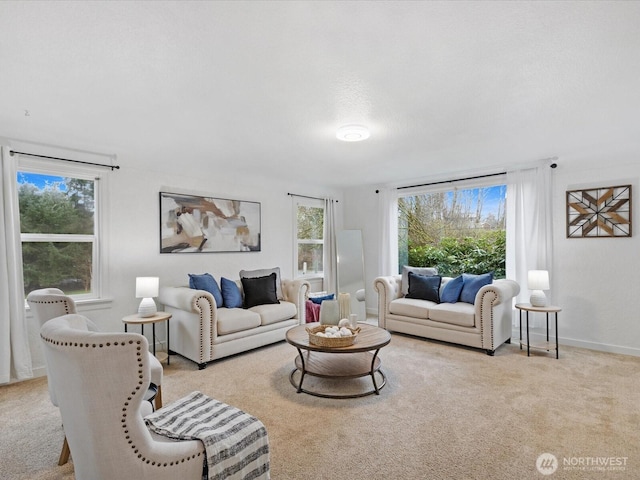 living area with baseboards and carpet floors