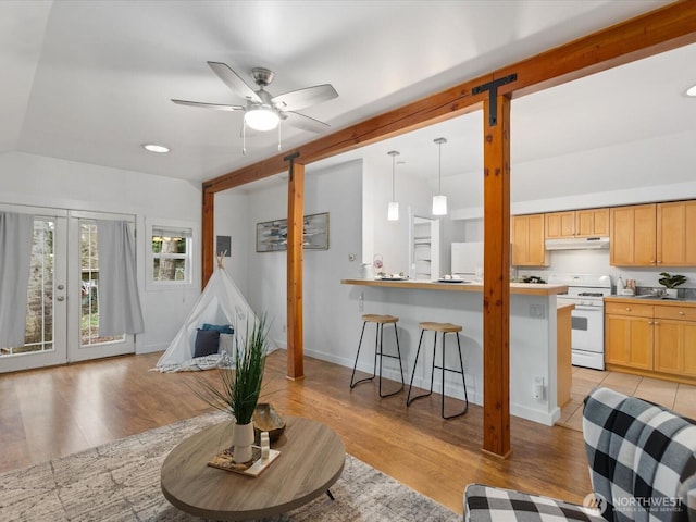 living area featuring baseboards, recessed lighting, ceiling fan, french doors, and light wood-style floors