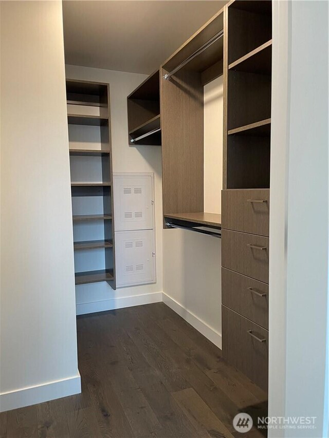 spacious closet with dark wood-style floors