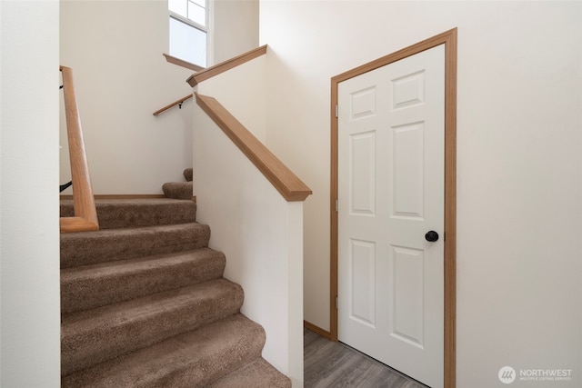 staircase featuring wood finished floors