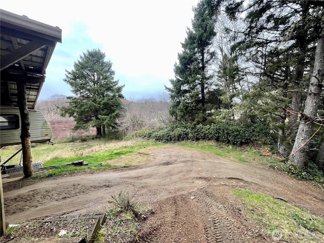 view of yard with driveway