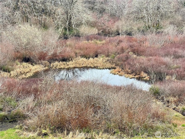 view of nature with a water view