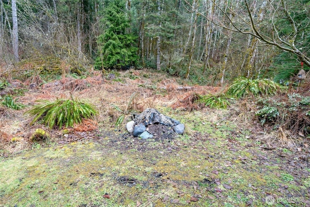 view of yard featuring a view of trees