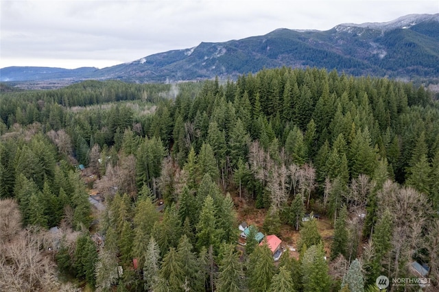 mountain view with a view of trees