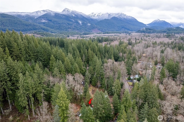 property view of mountains with a view of trees