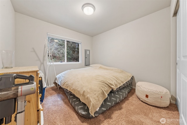 bedroom featuring electric panel, carpet, and baseboards