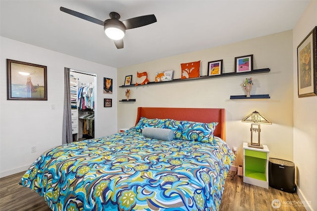 bedroom featuring a walk in closet, baseboards, wood finished floors, a closet, and a ceiling fan