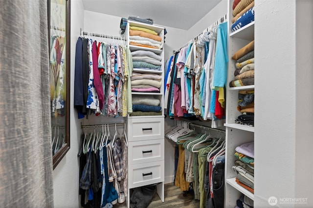 walk in closet featuring wood finished floors