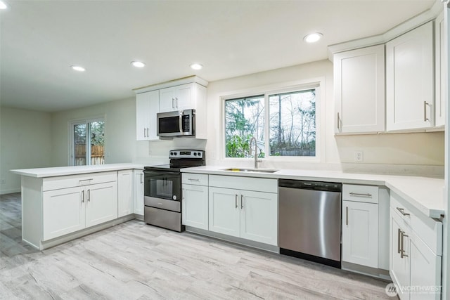 kitchen with a wealth of natural light, a peninsula, stainless steel appliances, and a sink