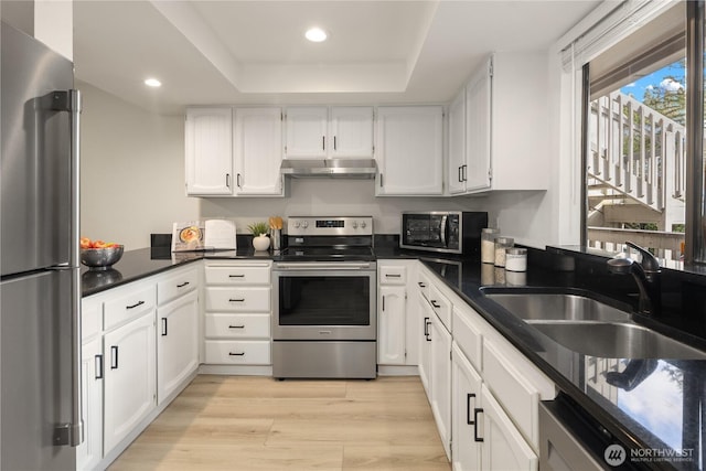 kitchen featuring under cabinet range hood, a tray ceiling, appliances with stainless steel finishes, light wood-style floors, and a sink