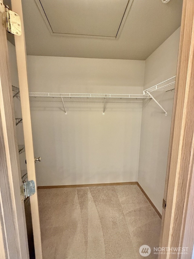 spacious closet with carpet flooring