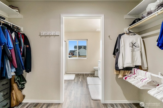 spacious closet with wood finished floors