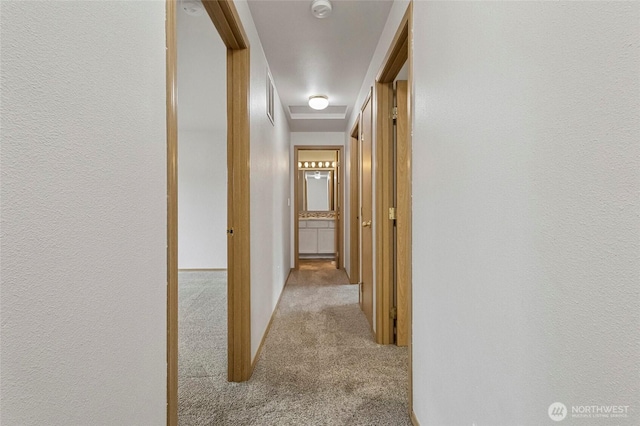 corridor featuring carpet and a textured wall