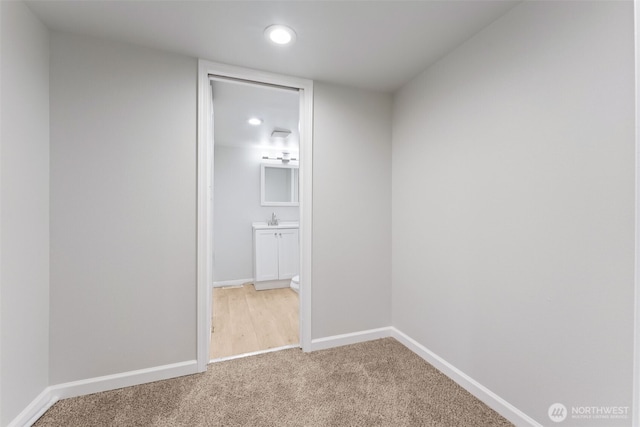 interior space featuring a sink, baseboards, and carpet flooring