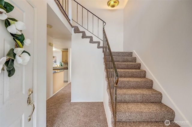 staircase with carpet