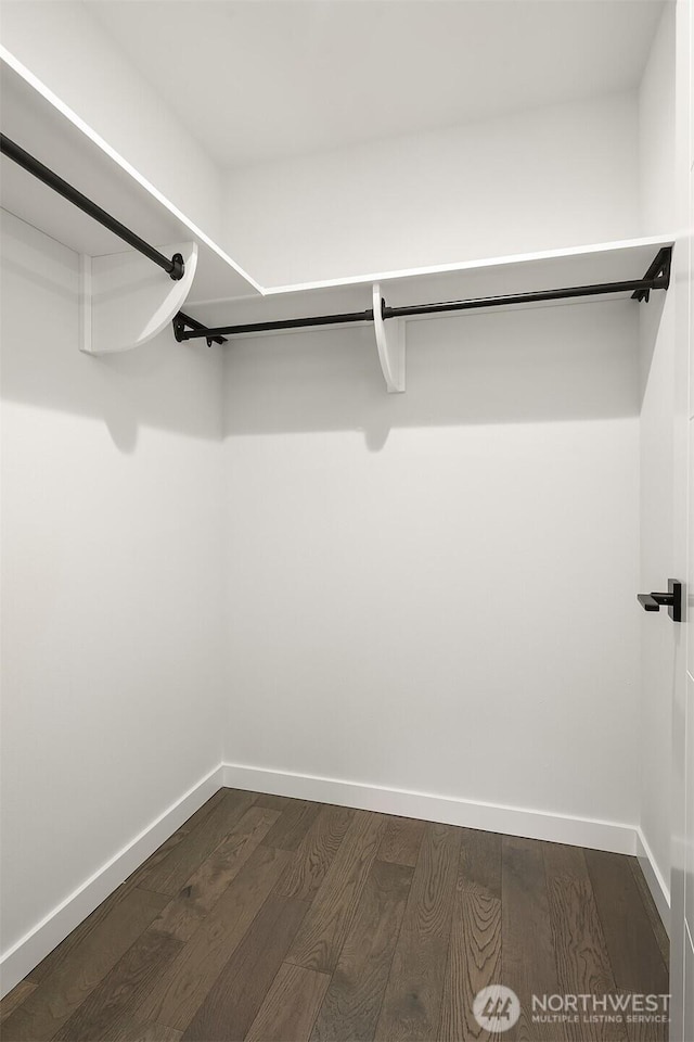 spacious closet with dark wood finished floors