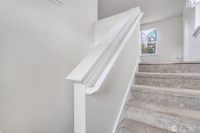 stairs featuring carpet floors