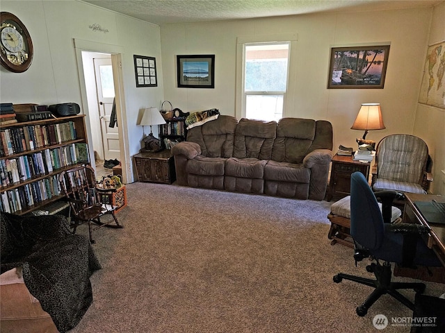 carpeted living area featuring a textured ceiling