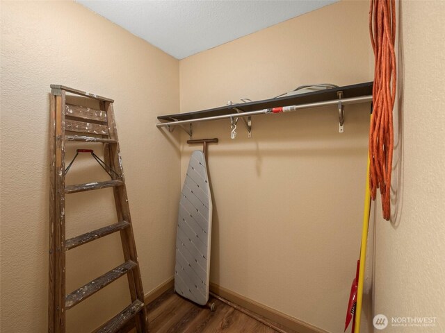 walk in closet featuring wood finished floors