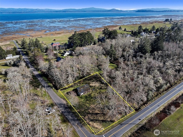 birds eye view of property with a mountain view