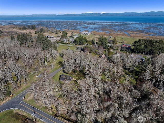 birds eye view of property with a mountain view