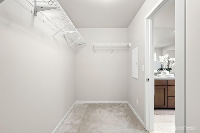 walk in closet featuring light colored carpet