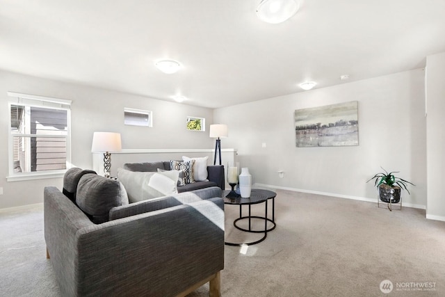 living area featuring baseboards and carpet floors