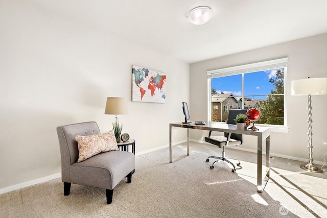 office area featuring baseboards and carpet floors