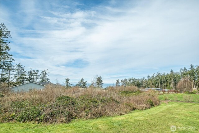 0 Great Horned Owl Ln, Oak Harbor, WA 98277 - photo 13