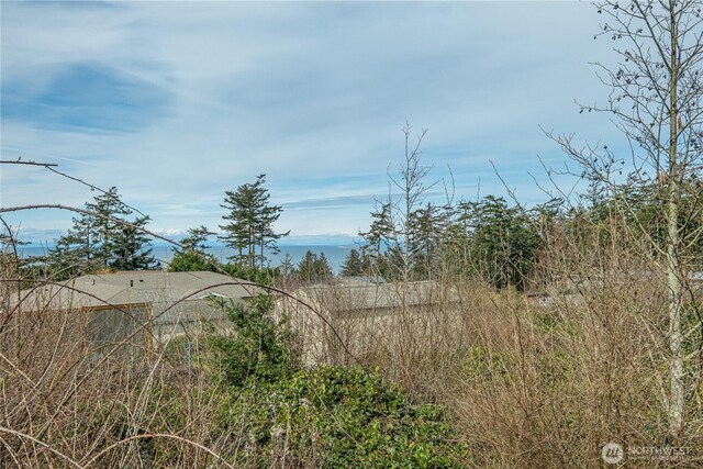 0 Great Horned Owl Ln, Oak Harbor, WA 98277 - photo 17