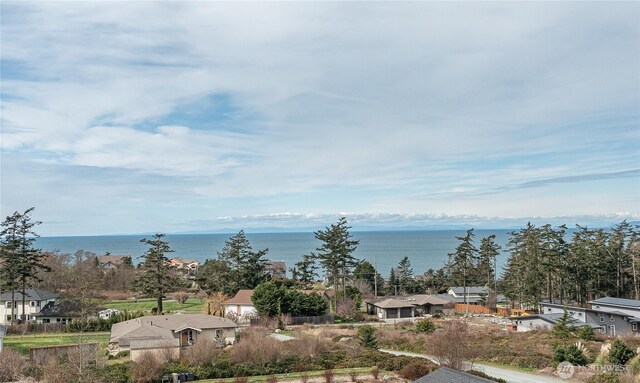 0 Great Horned Owl Ln, Oak Harbor, WA 98277 - photo 10