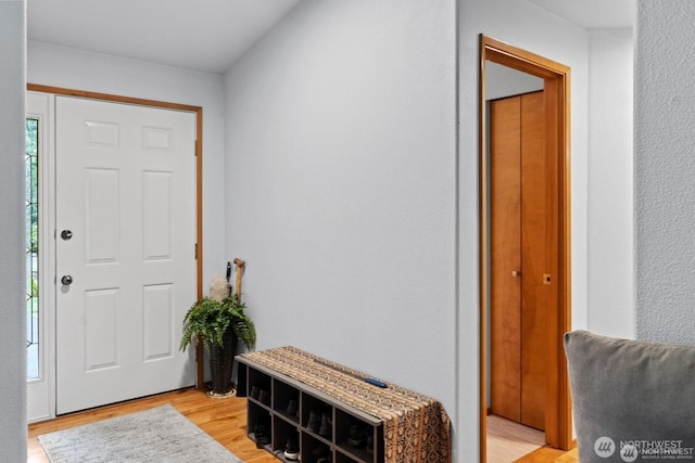 entryway featuring light wood finished floors