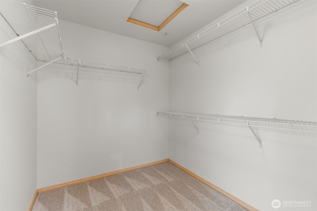 walk in closet with light colored carpet