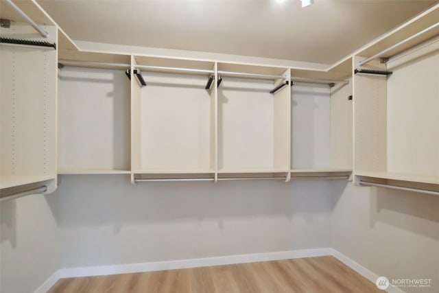 walk in closet with wood finished floors