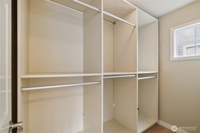 view of closet