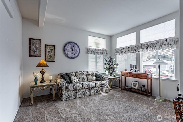 living room with baseboards and carpet floors